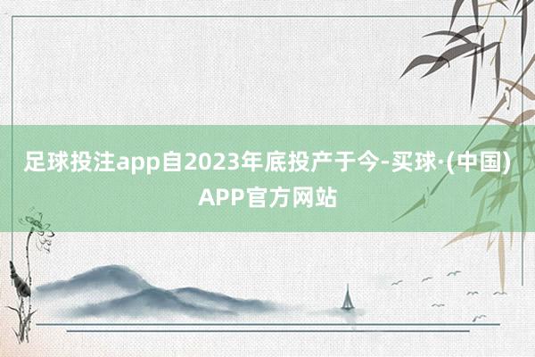 足球投注app　　自2023年底投产于今-买球·(中国)APP官方网站