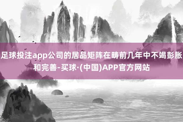 足球投注app公司的居品矩阵在畴前几年中不竭彭胀和完善-买球·(中国)APP官方网站