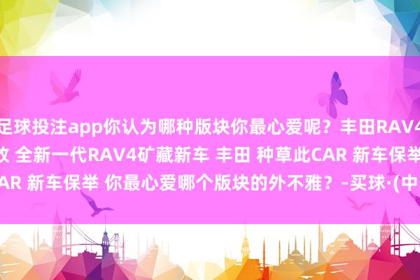 足球投注app你认为哪种版块你最心爱呢？丰田RAV4 全新RAV4 RAV4荣放 全新一代RAV4矿藏新车 丰田 种草此CAR 新车保举 你最心爱哪个版块的外不雅？-买球·(中国)APP官方网站