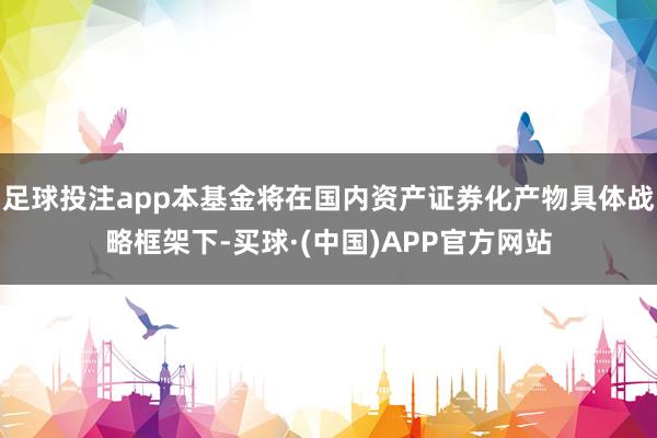 足球投注app本基金将在国内资产证券化产物具体战略框架下-买球·(中国)APP官方网站
