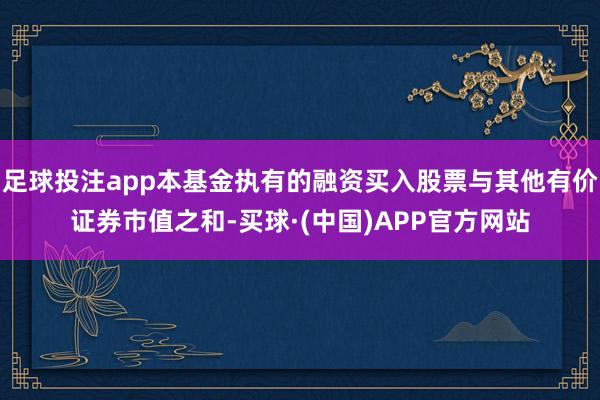 足球投注app本基金执有的融资买入股票与其他有价证券市值之和-买球·(中国)APP官方网站