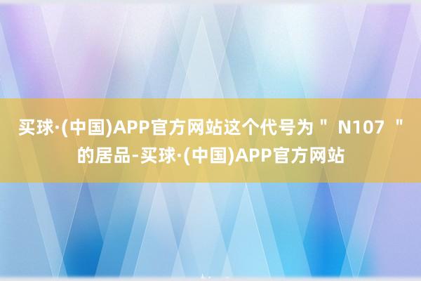 买球·(中国)APP官方网站这个代号为＂ N107 ＂的居品-买球·(中国)APP官方网站