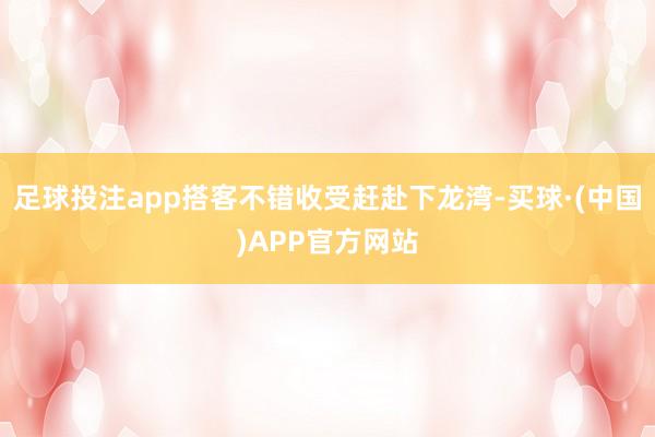 足球投注app搭客不错收受赶赴下龙湾-买球·(中国)APP官方网站