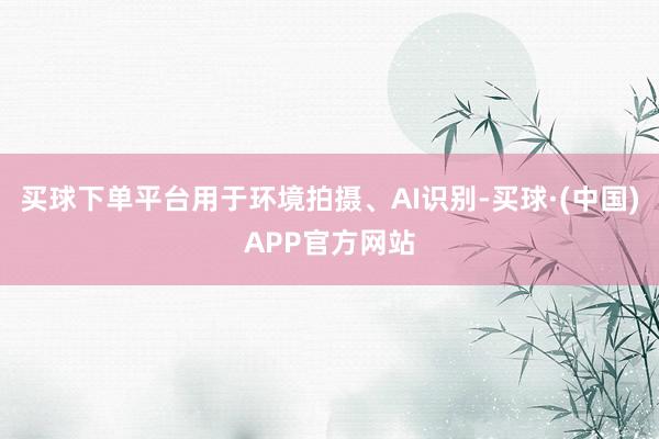 买球下单平台用于环境拍摄、AI识别-买球·(中国)APP官方网站