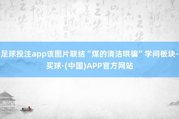 足球投注app该图片联结“煤的清洁哄骗”学问板块-买球·(中国)APP官方网站