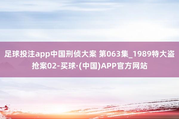 足球投注app中国刑侦大案 第063集_1989特大盗抢案02-买球·(中国)APP官方网站