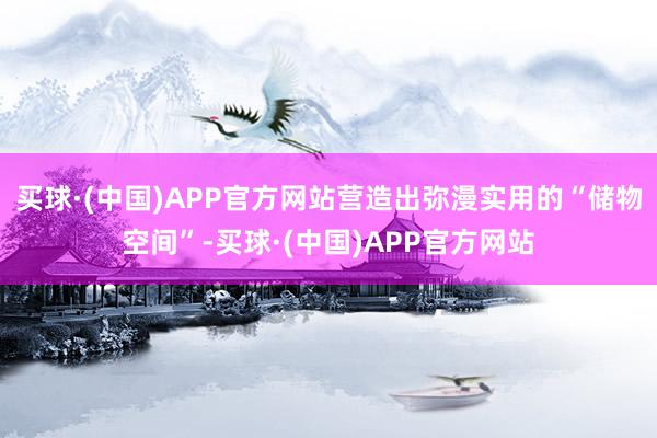 买球·(中国)APP官方网站营造出弥漫实用的“储物空间”-买球·(中国)APP官方网站