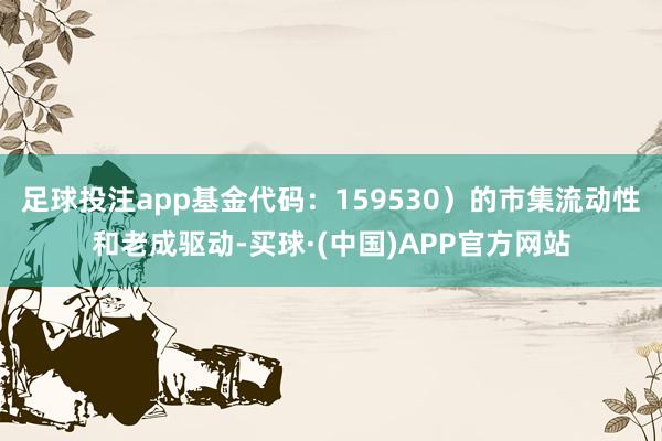 足球投注app基金代码：159530）的市集流动性和老成驱动-买球·(中国)APP官方网站