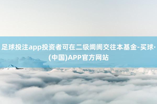 足球投注app投资者可在二级阛阓交往本基金-买球·(中国)APP官方网站