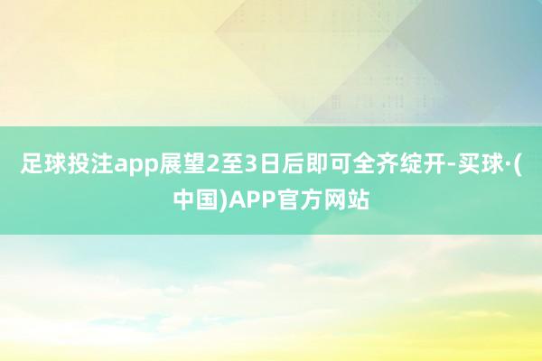 足球投注app展望2至3日后即可全齐绽开-买球·(中国)APP官方网站