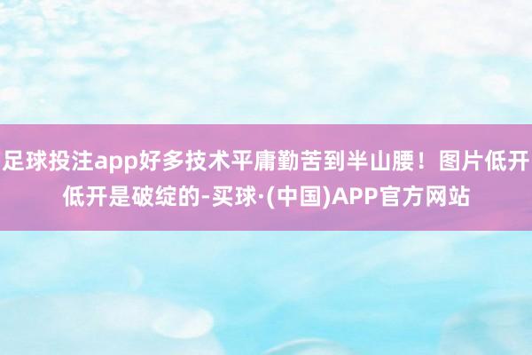 足球投注app好多技术平庸勤苦到半山腰！图片低开低开是破绽的-买球·(中国)APP官方网站