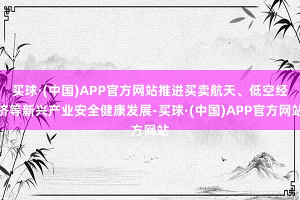 买球·(中国)APP官方网站推进买卖航天、低空经济等新兴产业安全健康发展-买球·(中国)APP官方网站