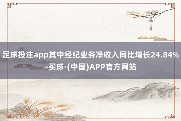 足球投注app其中经纪业务净收入同比增长24.84%-买球·(中国)APP官方网站