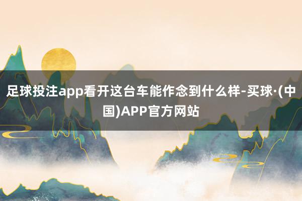 足球投注app看开这台车能作念到什么样-买球·(中国)APP官方网站