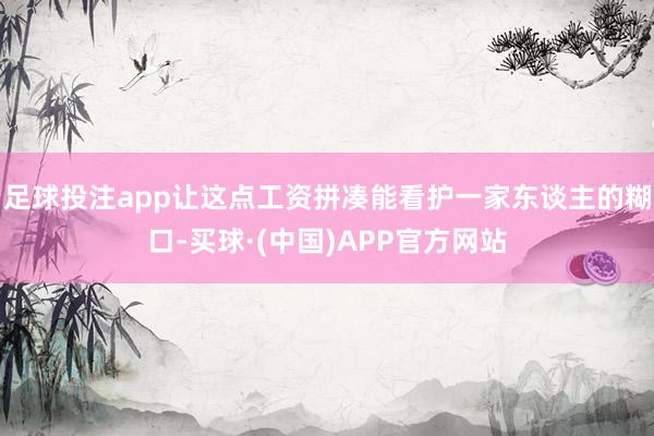 足球投注app让这点工资拼凑能看护一家东谈主的糊口-买球·(中国)APP官方网站