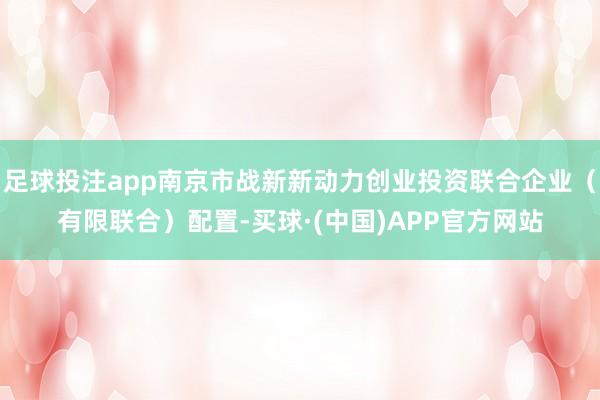 足球投注app南京市战新新动力创业投资联合企业（有限联合）配置-买球·(中国)APP官方网站