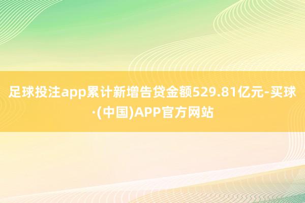 足球投注app累计新增告贷金额529.81亿元-买球·(中国)APP官方网站