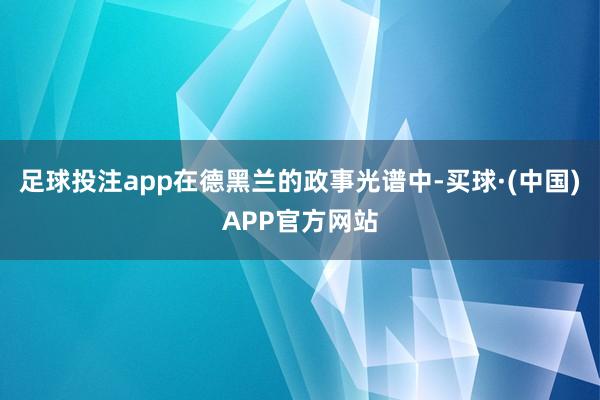 足球投注app在德黑兰的政事光谱中-买球·(中国)APP官方网站