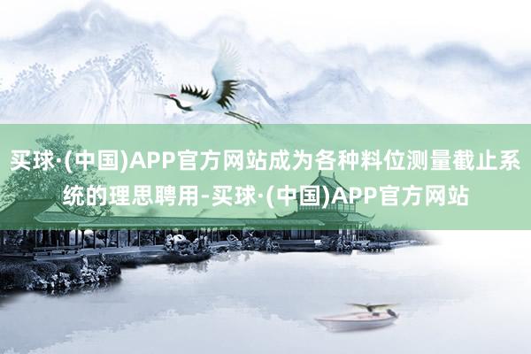 买球·(中国)APP官方网站成为各种料位测量截止系统的理思聘用-买球·(中国)APP官方网站