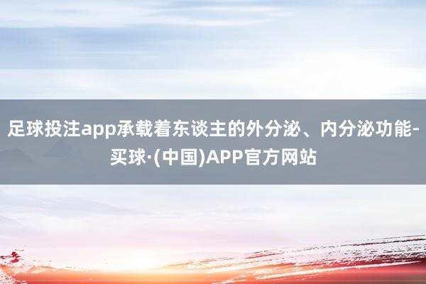 足球投注app承载着东谈主的外分泌、内分泌功能-买球·(中国)APP官方网站