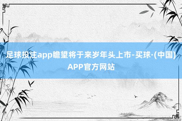 足球投注app瞻望将于来岁年头上市-买球·(中国)APP官方网站