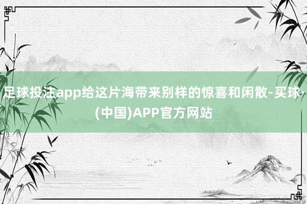 足球投注app给这片海带来别样的惊喜和闲散-买球·(中国)APP官方网站