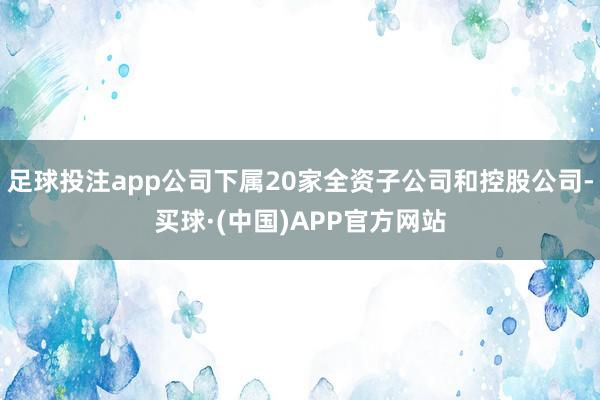 足球投注app公司下属20家全资子公司和控股公司-买球·(中国)APP官方网站