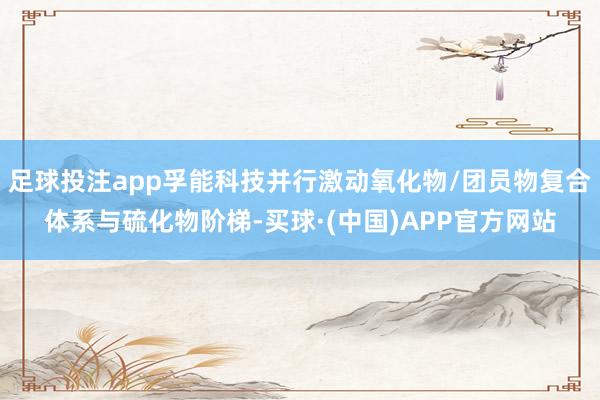 足球投注app孚能科技并行激动氧化物/团员物复合体系与硫化物阶梯-买球·(中国)APP官方网站