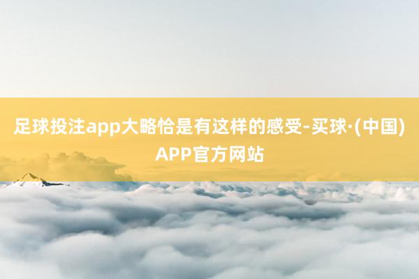 足球投注app大略恰是有这样的感受-买球·(中国)APP官方网站