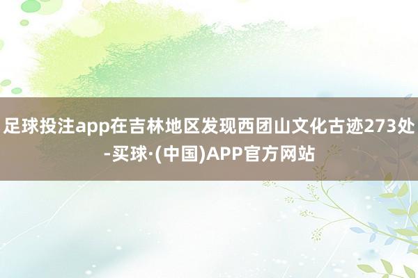 足球投注app在吉林地区发现西团山文化古迹273处-买球·(中国)APP官方网站