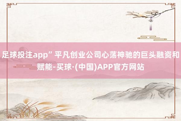 足球投注app”平凡创业公司心荡神驰的巨头融资和赋能-买球·(中国)APP官方网站