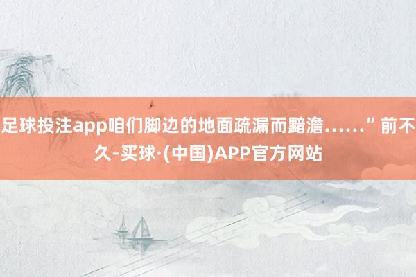 足球投注app咱们脚边的地面疏漏而黯澹……”前不久-买球·(中国)APP官方网站