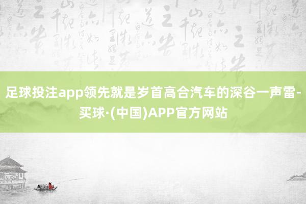足球投注app领先就是岁首高合汽车的深谷一声雷-买球·(中国)APP官方网站