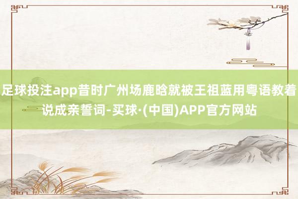 足球投注app昔时广州场鹿晗就被王祖蓝用粤语教着说成亲誓词-买球·(中国)APP官方网站