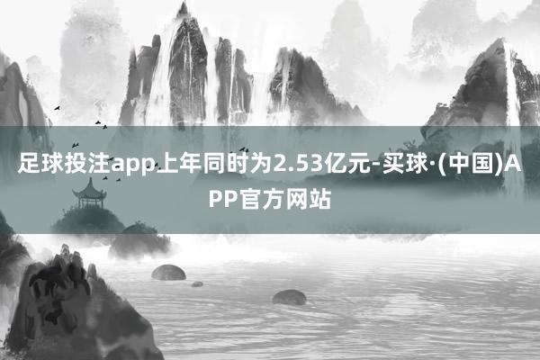 足球投注app上年同时为2.53亿元-买球·(中国)APP官方网站