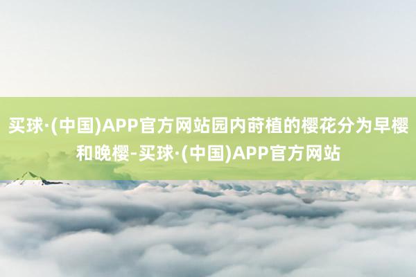 买球·(中国)APP官方网站园内莳植的樱花分为早樱和晚樱-买球·(中国)APP官方网站