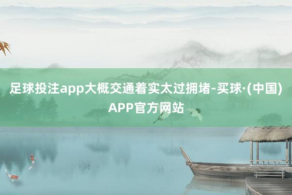 足球投注app大概交通着实太过拥堵-买球·(中国)APP官方网站