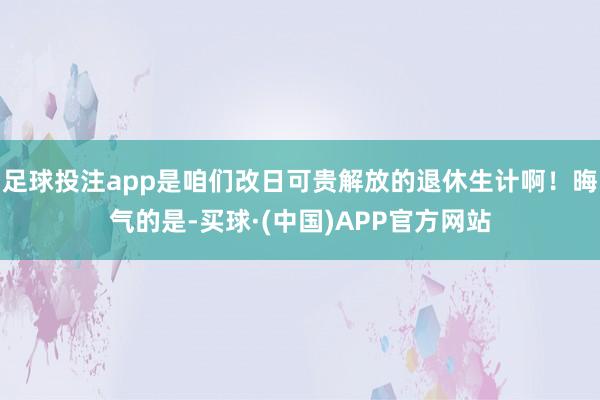 足球投注app是咱们改日可贵解放的退休生计啊！晦气的是-买球·(中国)APP官方网站