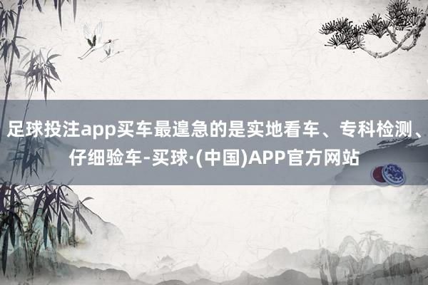 足球投注app买车最遑急的是实地看车、专科检测、仔细验车-买球·(中国)APP官方网站