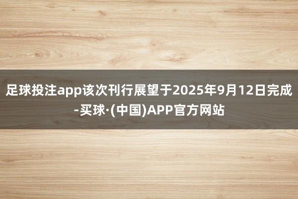 足球投注app该次刊行展望于2025年9月12日完成-买球·(中国)APP官方网站