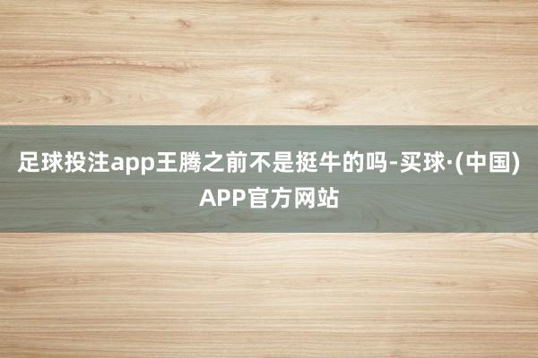足球投注app王腾之前不是挺牛的吗-买球·(中国)APP官方网站