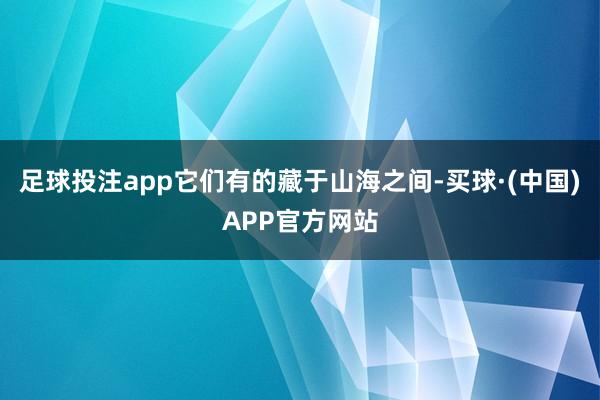 足球投注app它们有的藏于山海之间-买球·(中国)APP官方网站