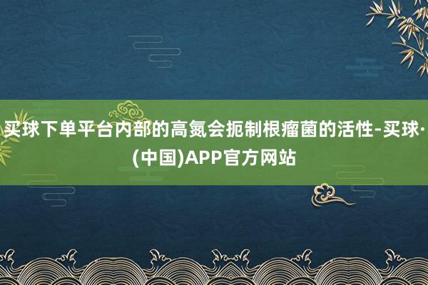 买球下单平台内部的高氮会扼制根瘤菌的活性-买球·(中国)APP官方网站
