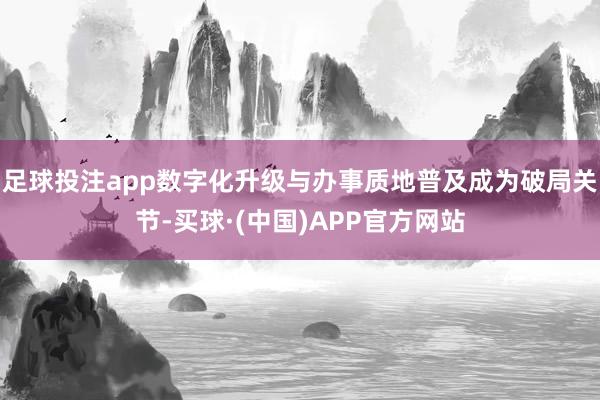 足球投注app数字化升级与办事质地普及成为破局关节-买球·(中国)APP官方网站