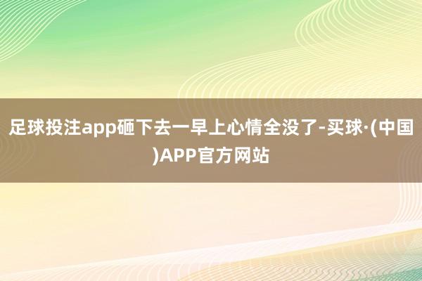 足球投注app砸下去一早上心情全没了-买球·(中国)APP官方网站