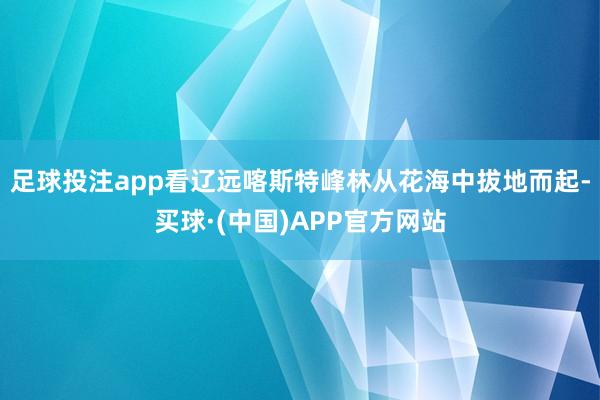 足球投注app看辽远喀斯特峰林从花海中拔地而起-买球·(中国)APP官方网站
