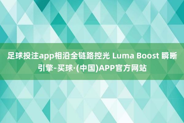足球投注app相沿全链路控光 Luma Boost 瞬晰引擎-买球·(中国)APP官方网站