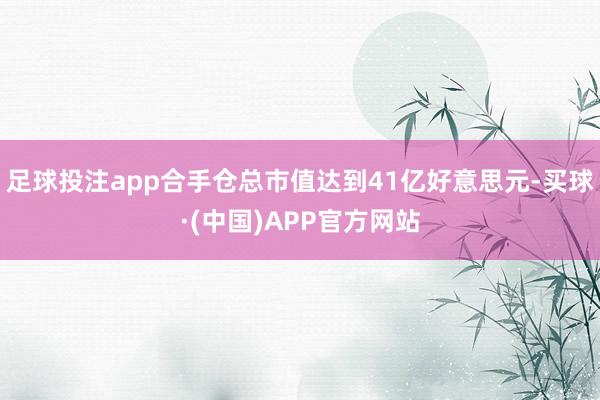 足球投注app合手仓总市值达到41亿好意思元-买球·(中国)APP官方网站