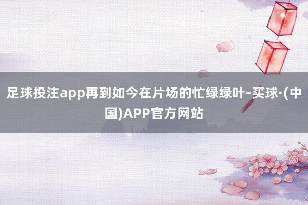 足球投注app再到如今在片场的忙绿绿叶-买球·(中国)APP官方网站