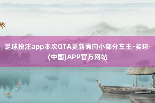 足球投注app本次OTA更新面向小部分车主-买球·(中国)APP官方网站